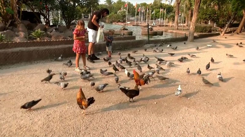 Descubre la Emoción de Jugar Chicken Road en la Mejor Plataforma Española - overview