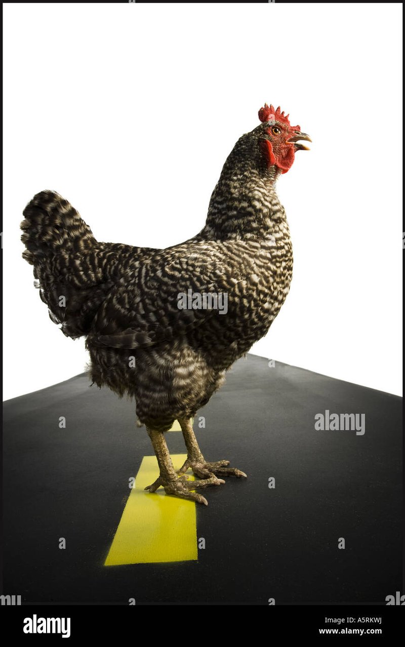 De legendarische Chicken Road Gokkast: Klik hier voor meer informatie De legendarische Chicken Road Gokkast: Klik hier voor meer informatie